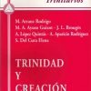 Trinidad y creación